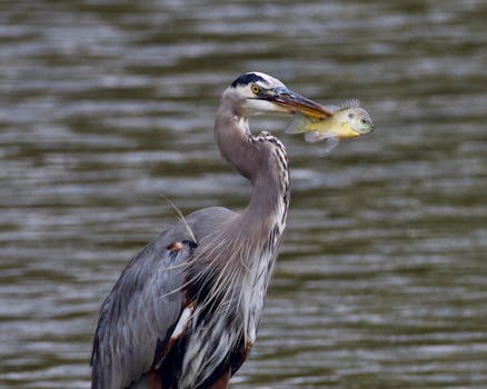  MWC2026盛会落幕，大上行网络倡议引爆移动AI变革。 IT技术 MWC2026盛会落幕，大上行网络倡议引爆移动AI变革。 IT技术 MWC2026盛会落幕，大上行网络倡议引爆移动AI变革。 IT技术 MWC2026盛会落幕，大上行网络倡议引爆移动AI变革。 IT技术 MWC2026盛会落幕，大上行网络倡议引爆移动AI变革。 IT技术