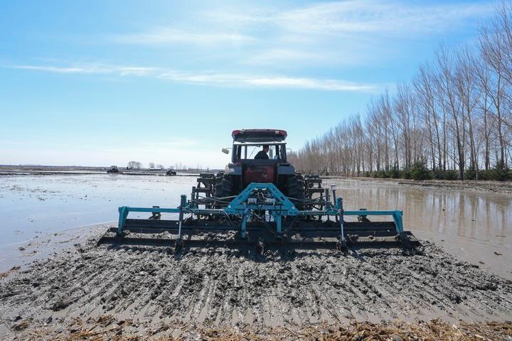 春天里的守望：一位老农眼中的田野新生