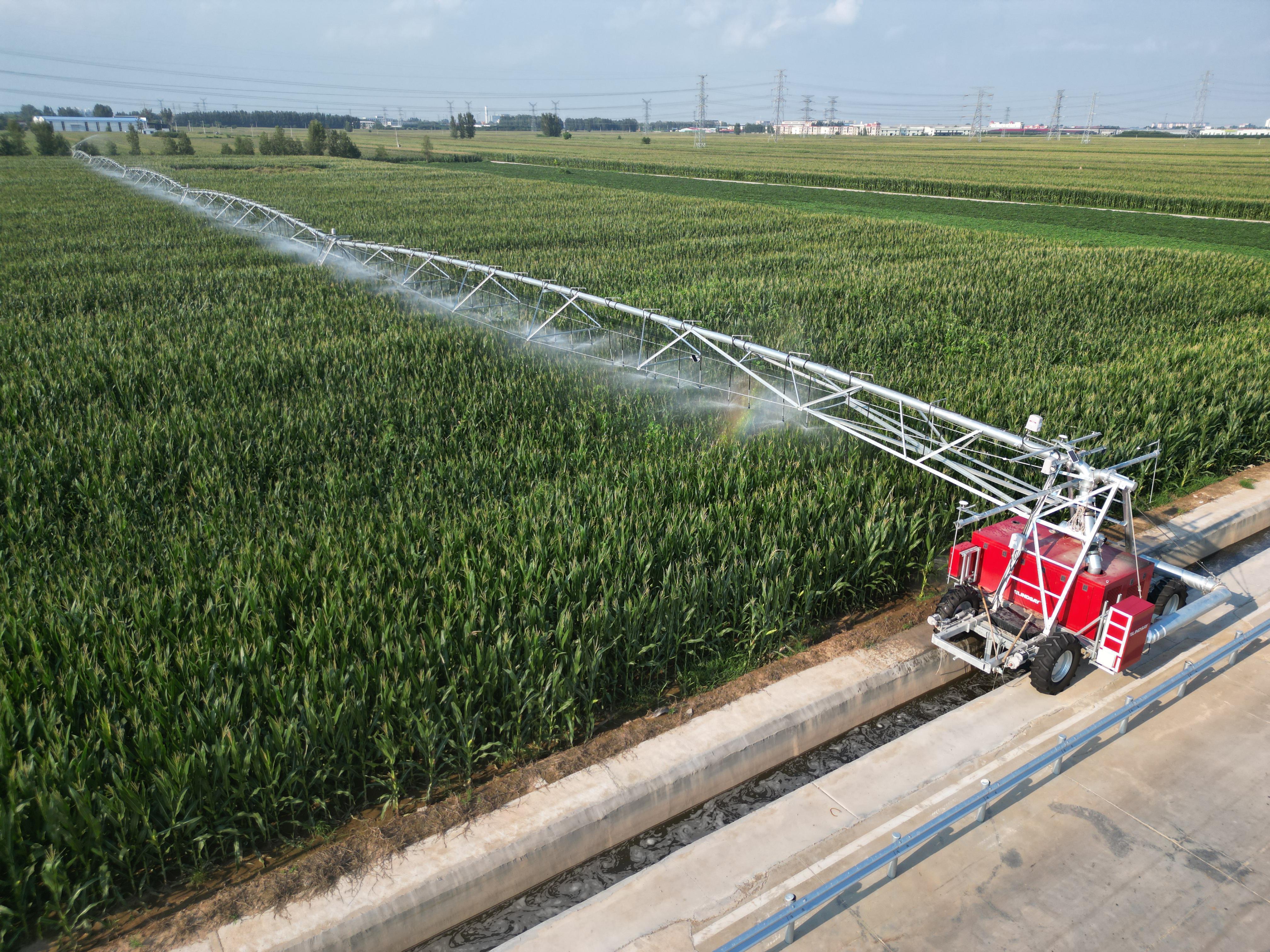 春天里的守望:一位老农眼中的田野新生 文化旅游