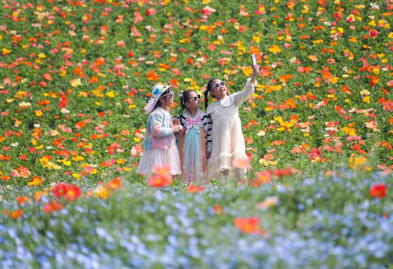 清明春假叠加下的文旅消费图谱：数据拆解与场景创新