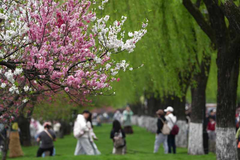  清明春假叠加下的文旅消费图谱：数据拆解与场景创新 文化旅游