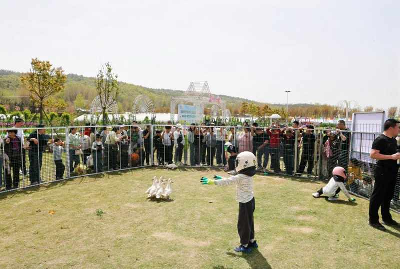  智能温室·产业延链·场景创新：解码湖北“赏花经济”四季常开的硬核逻辑 文化旅游