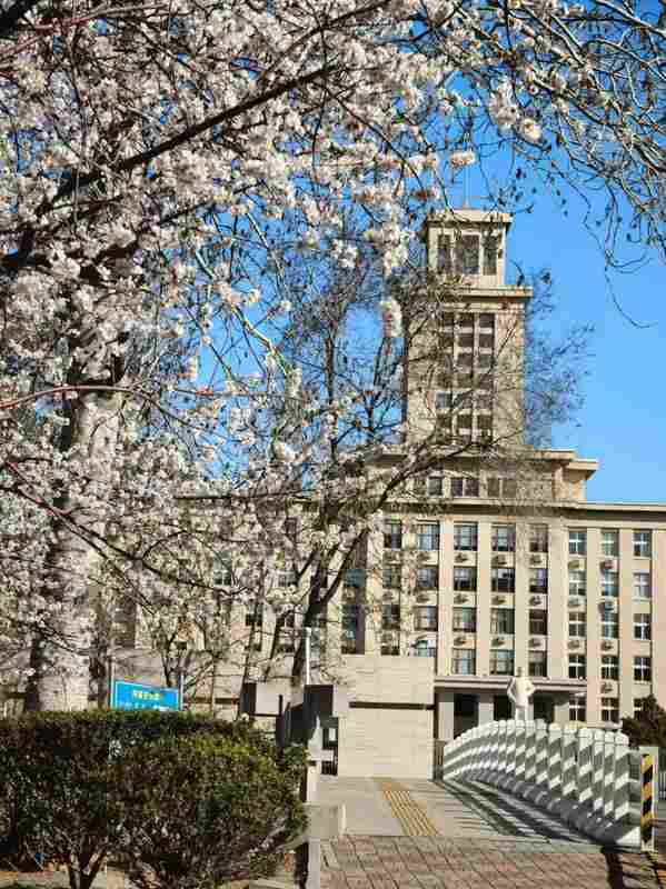  【技术拆解】天津城市环境整治八大工程深度解析：数据指标背后的精细化管理逻辑 新闻