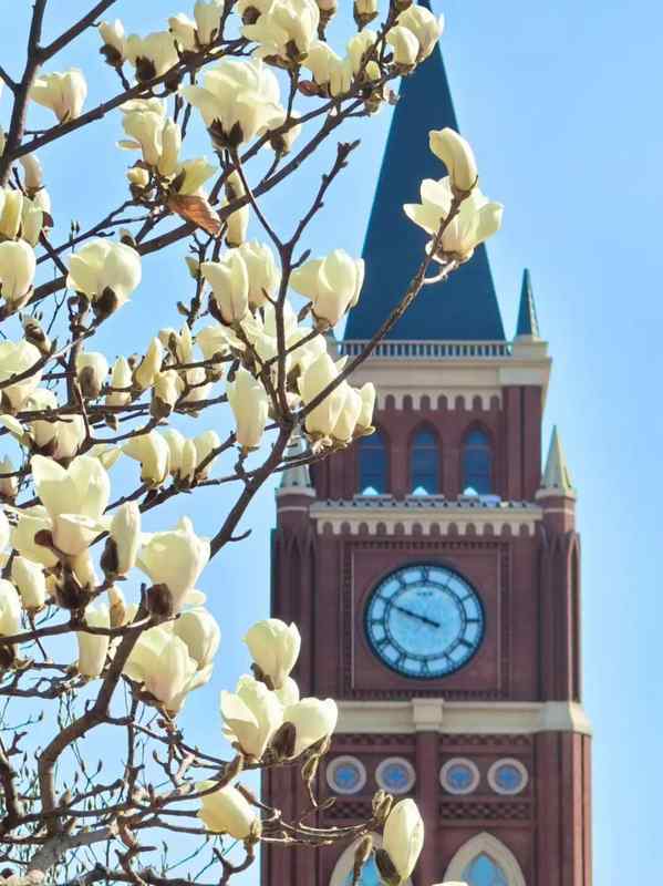  【技术拆解】天津城市环境整治八大工程深度解析：数据指标背后的精细化管理逻辑 新闻