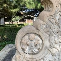  当音乐成为桥梁：普通观众与艺术大师的40天之约 文化旅游