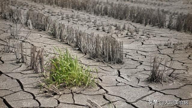  [深度解析]农历二月廿七气象机制：农谚背后的季风活动规律与春旱预警逻辑 文化旅游