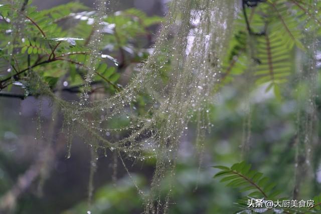  [深度解析]农历二月廿七气象机制：农谚背后的季风活动规律与春旱预警逻辑 文化旅游