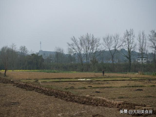  [深度解析]农历二月廿七气象机制：农谚背后的季风活动规律与春旱预警逻辑 文化旅游