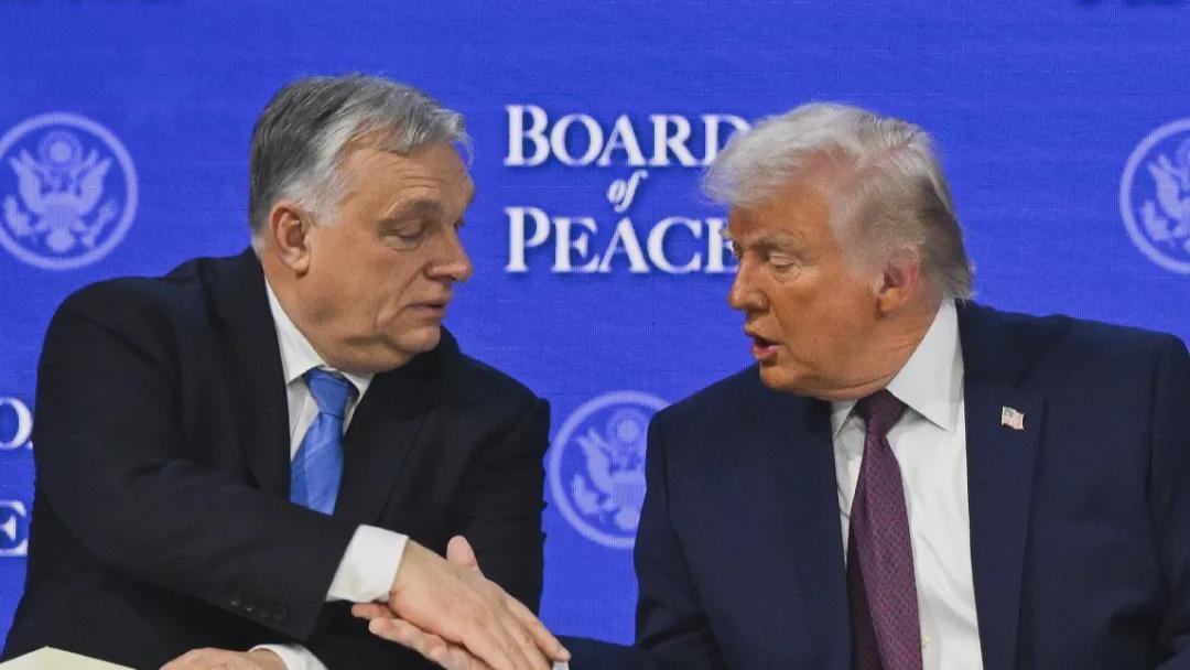  一个"粉丝"的逆袭：毛焦尔如何用民生牌终结了偶像的16年时代 新闻