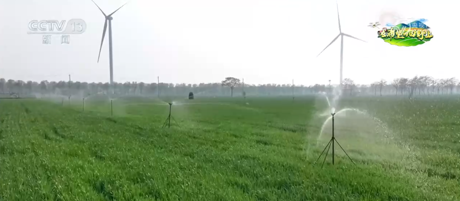  那片麦田里的守望者：当科技温柔地走进田野 文化旅游