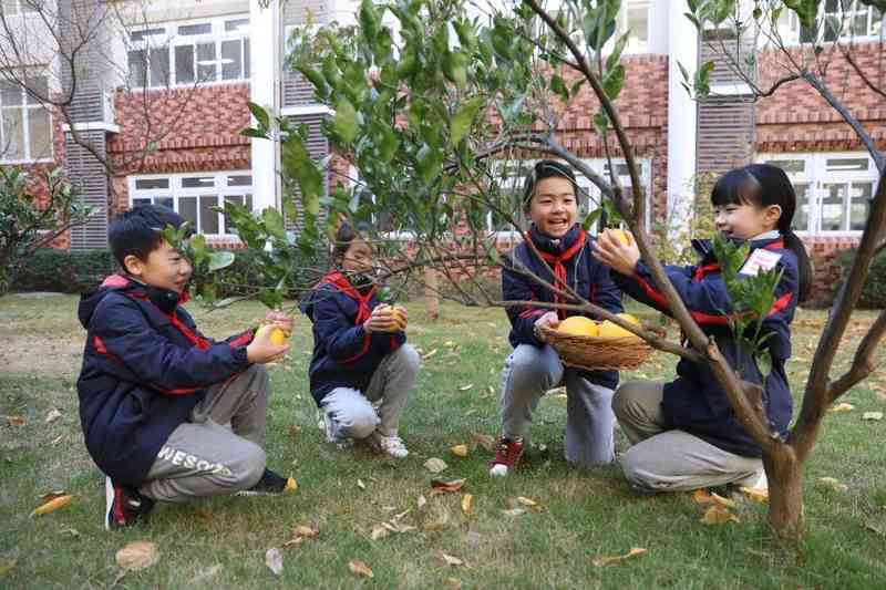 技术赋能五育融合:闵行浦汇小学数字化转型的底层逻辑与实践路径 教育招生