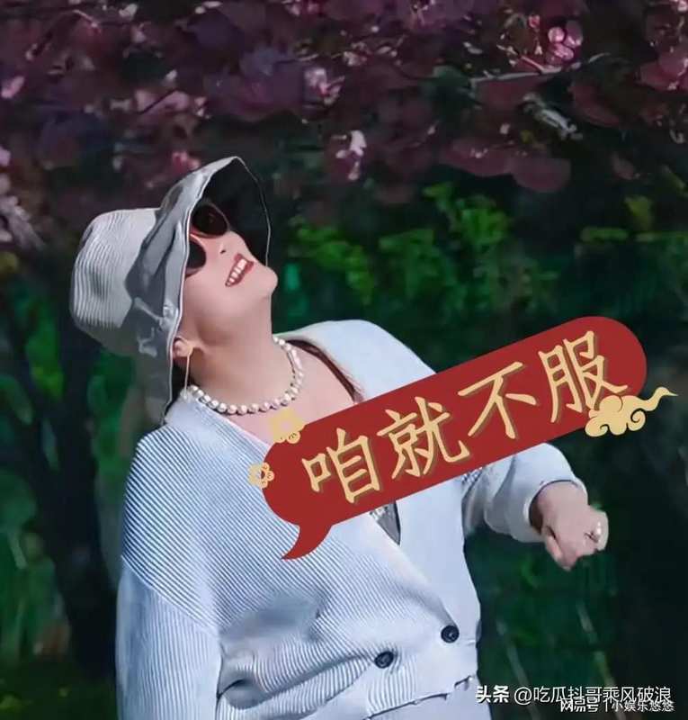 从“带孙困局”到“出海宣言”:解码张兰68岁再度出山的商业逻辑 企业服务 从“带孙困局”到“出海宣言”:解码张兰68岁再度出山的商业逻辑 企业服务