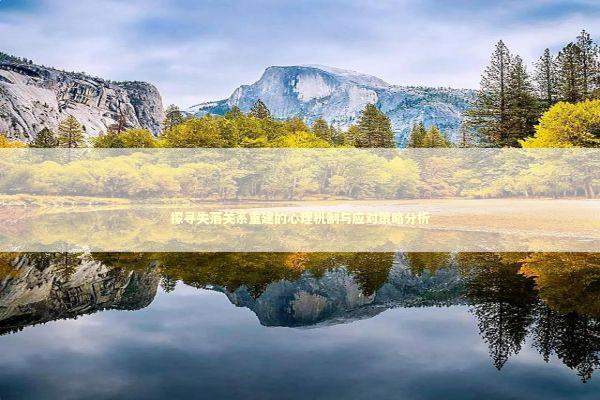 探寻失落关系重建的心理机制与应对策略分析 情感心理