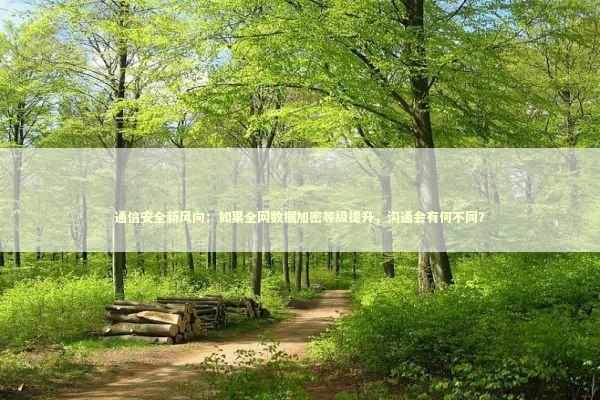 通信安全新风向：如果全网数据加密等级提升，沟通会有何不同？ IT技术