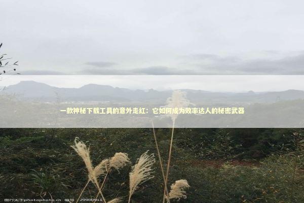 一款神秘下载工具的意外走红：它如何成为效率达人的秘密武器 IT技术