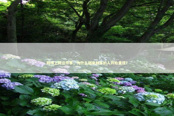 跨境上网这件事，为什么越来越多的人开始重视？ IT技术