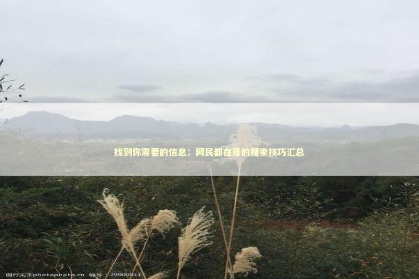 找到你需要的信息：网民都在用的搜索技巧汇总 IT技术