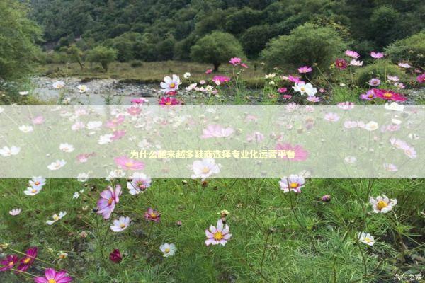 为什么越来越多鞋商选择专业化运营平台 新闻