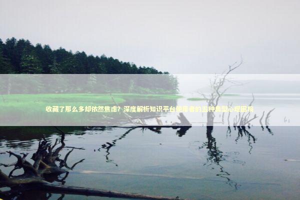 收藏了那么多却依然焦虑？深度解析知识平台使用者的五种典型心理困境 IT技术