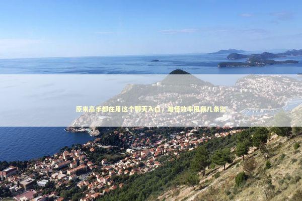 原来高手都在用这个聊天入口，难怪效率甩我几条街 IT技术