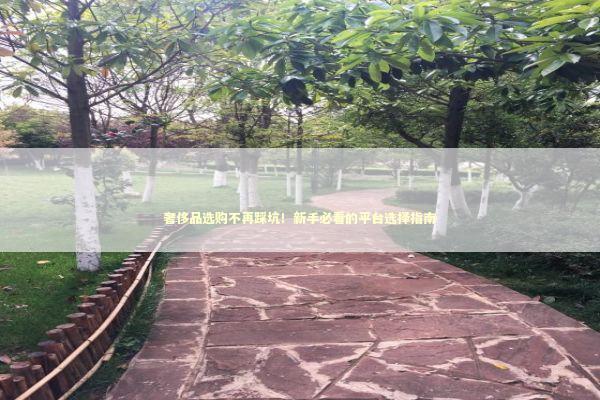 奢侈品选购不再踩坑！新手必看的平台选择指南 时尚用品