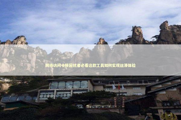 网络访问卡顿困扰者必看这款工具如何实现丝滑体验 IT技术