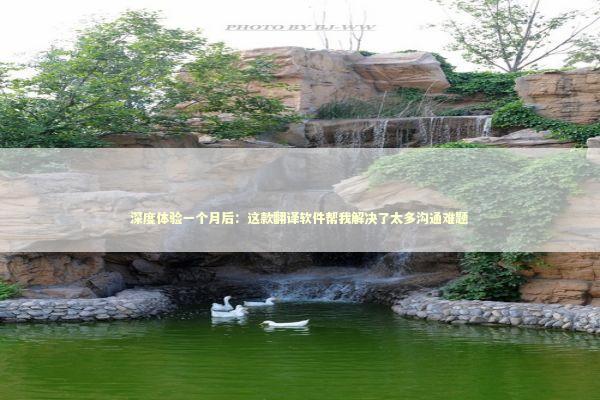 深度体验一个月后：这款翻译软件帮我解决了太多沟通难题 企业服务