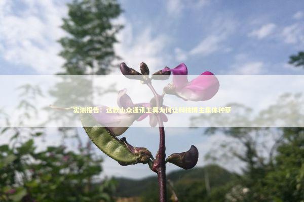 实测报告:这款小众通讯工具为何让科技博主集体种草 实测报告:这款小众通讯工具为何让科技博主集体种草 IT技术