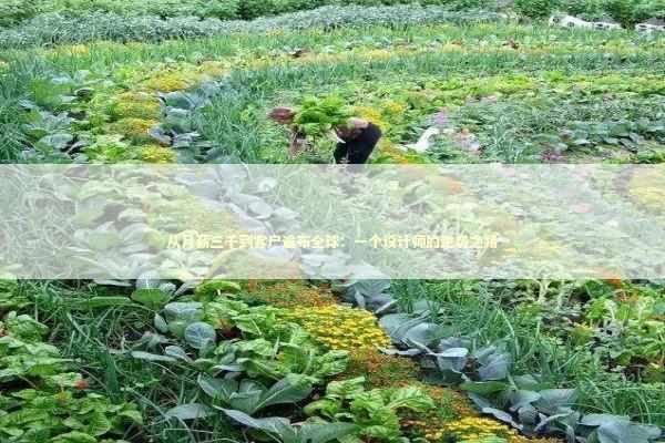 从月薪三千到客户遍布全球:一个设计师的逆袭之路 从月薪三千到客户遍布全球:一个设计师的逆袭之路 企业服务