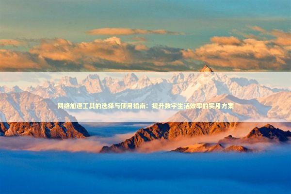网络加速工具的选择与使用指南:提升数字生活效率的实用方案 网络加速工具的选择与使用指南:提升数字生活效率的实用方案 IT技术